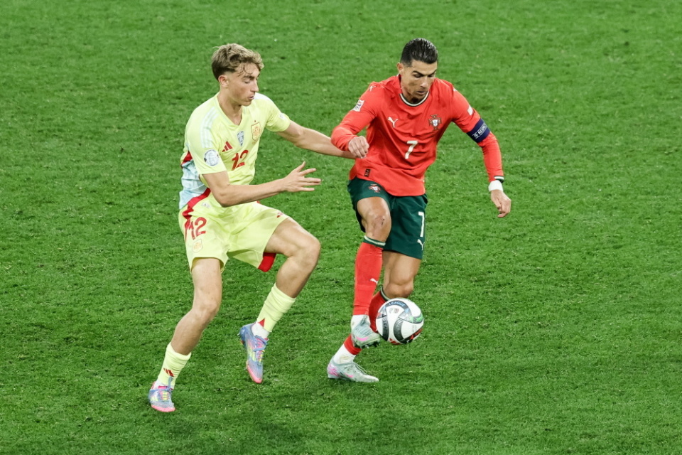 供了新的动 供了新的动