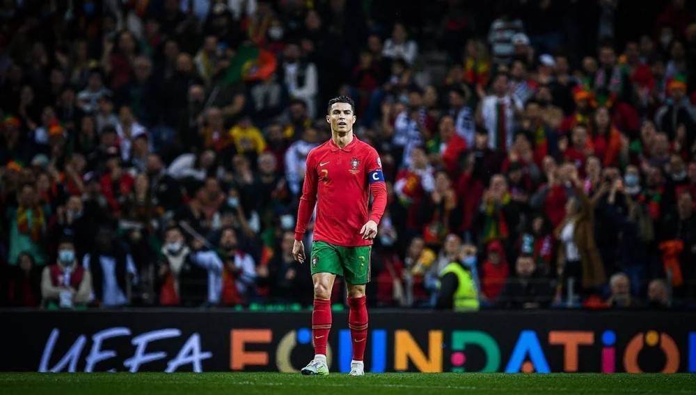 不少顶级内 不少顶级内